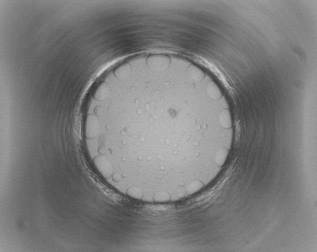 X0000115040931200912071106