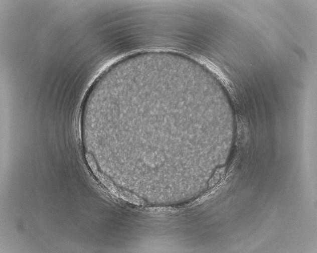 X0000115040934200912071106