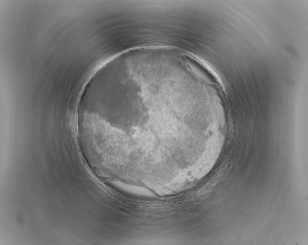 X0000115040935200912071106