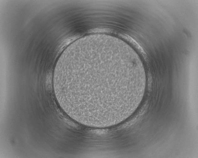 X0000115040937200912071106