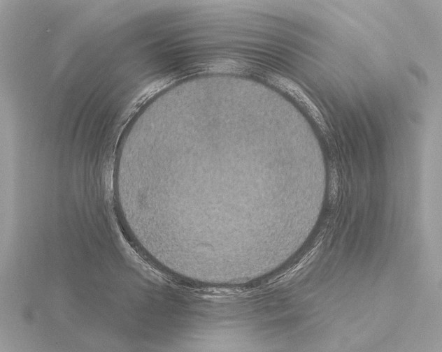 X0000115040938200912071106