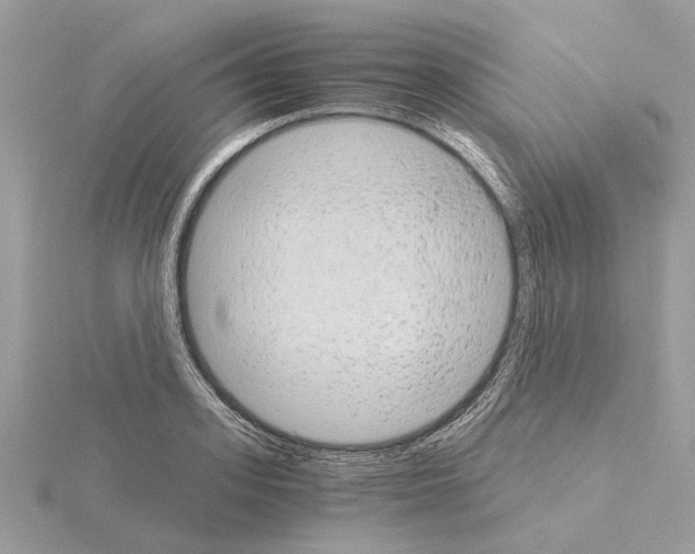 X0000115040939200912071106