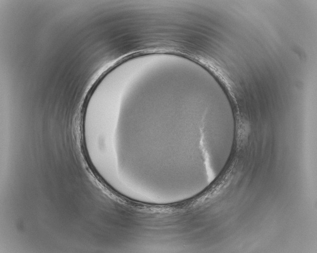 X0000115040941200912071106