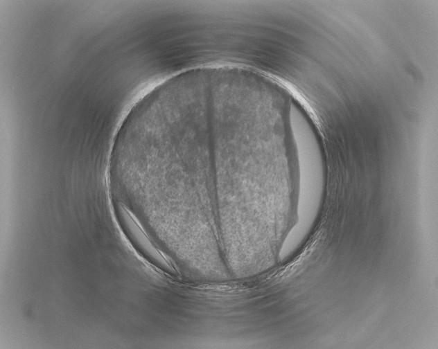 X0000115040943200912071106