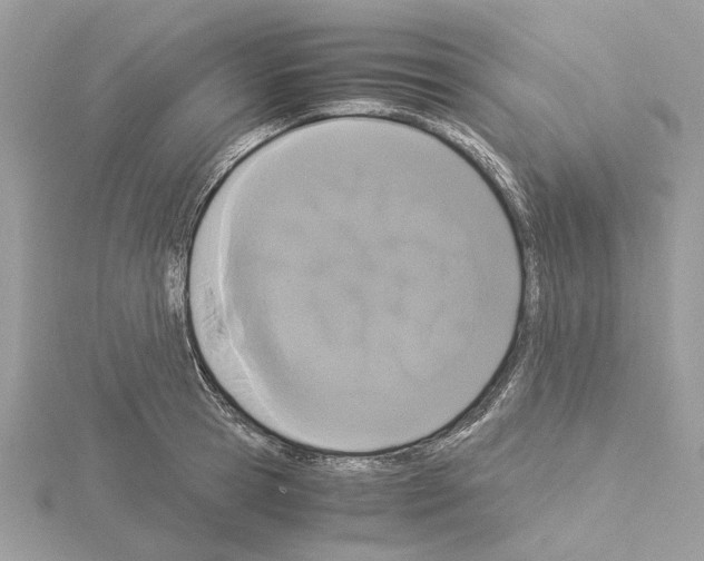 X0000115040945200912071106