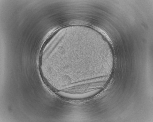 X0000115040946200912071106