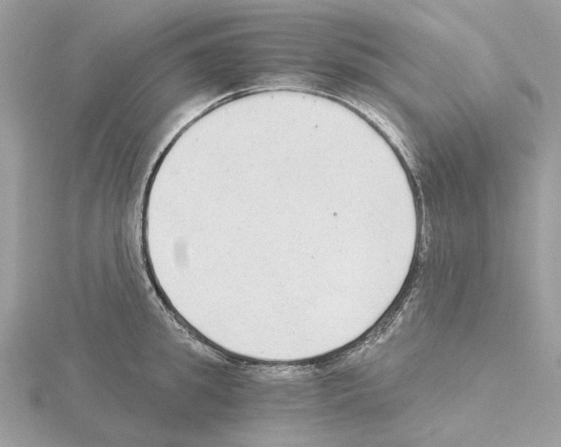 X0000115040949200912071106