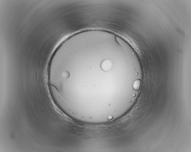 X0000115040950200912071106