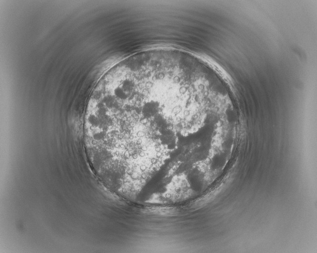 X0000115040953200912071107