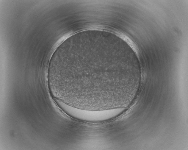 X0000115040954200912071107