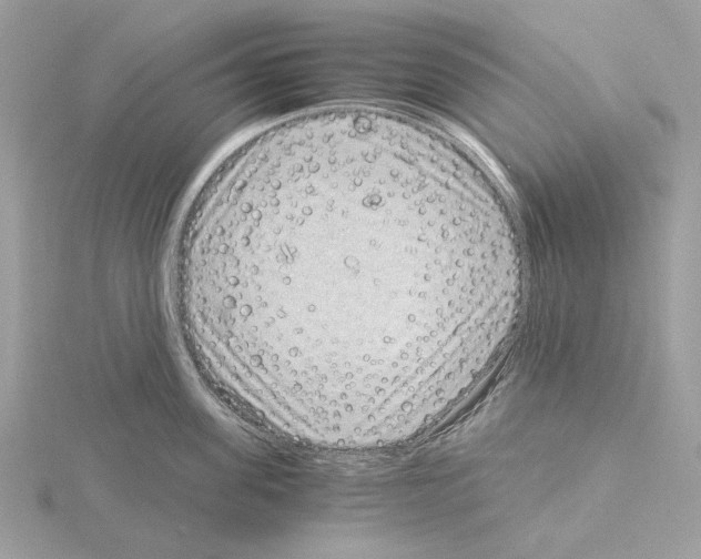 X0000115040955200912071107