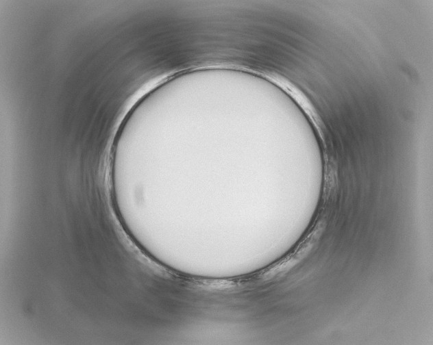 X0000115040957200912071107