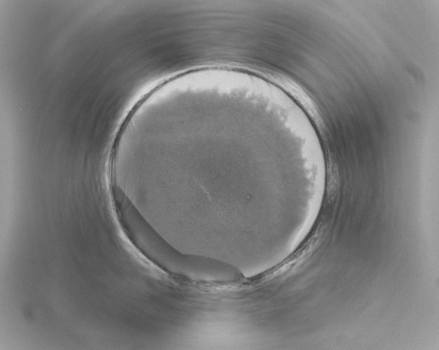 X0000115040958200912071107