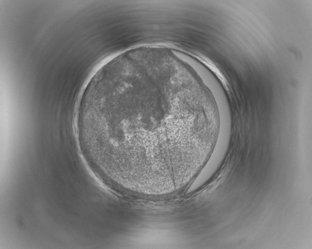 X0000115040959200912071107