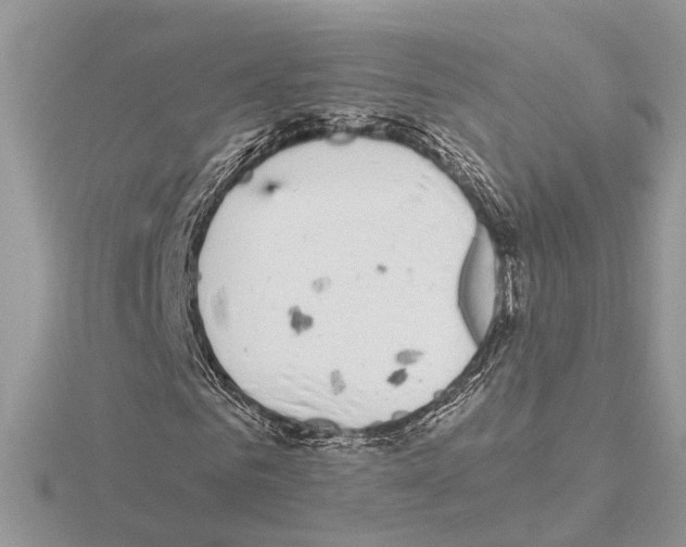 X0000115040961200912071106