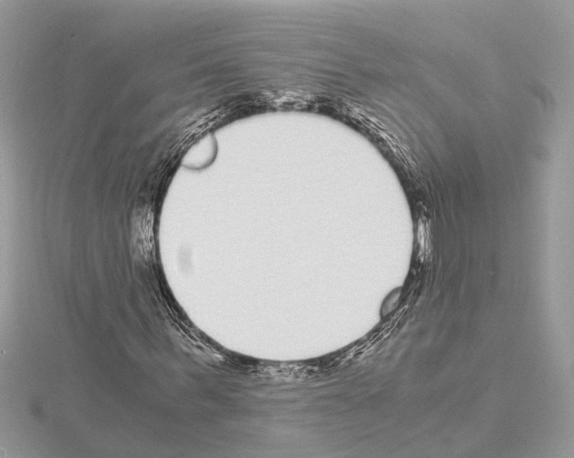 X0000115040963200912071106