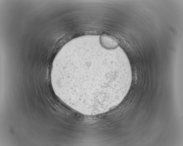 X0000115040964200912071106