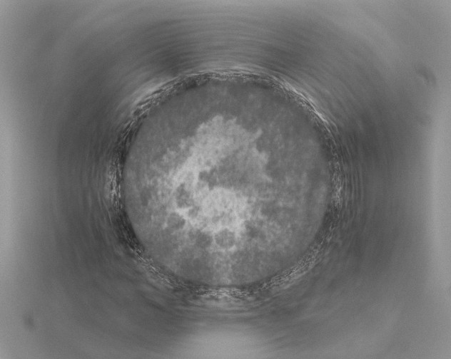 X0000115040966200912071106