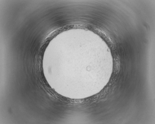 X0000115040968200912071106