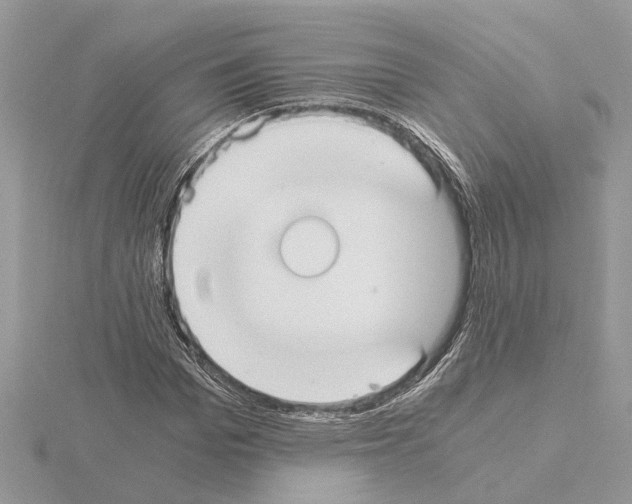 X0000115040969200912071106