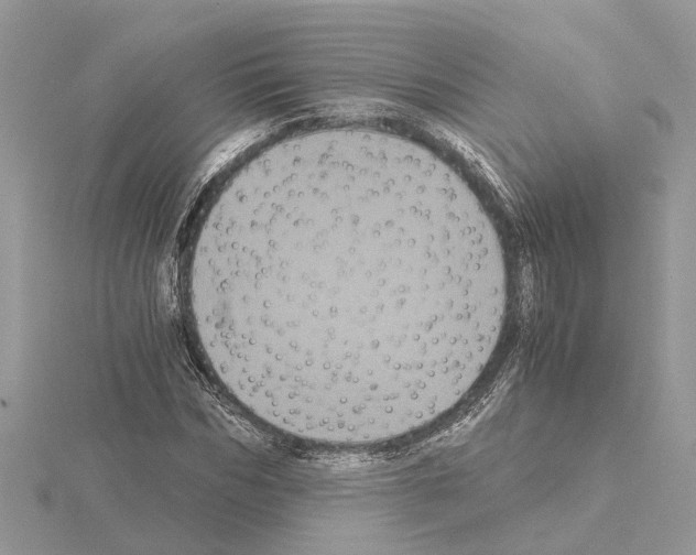 X0000115040970200912071106