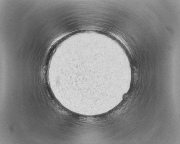 X0000115040971200912071106