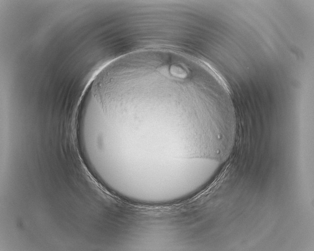 X0000115040972200912071106