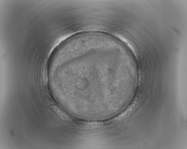 X0000115040973200912071106