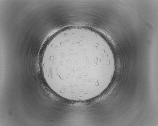 X0000115040974200912071106