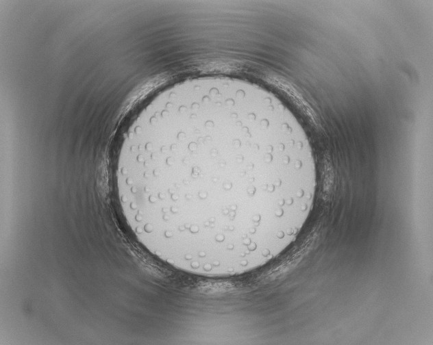 X0000115040978200912071106