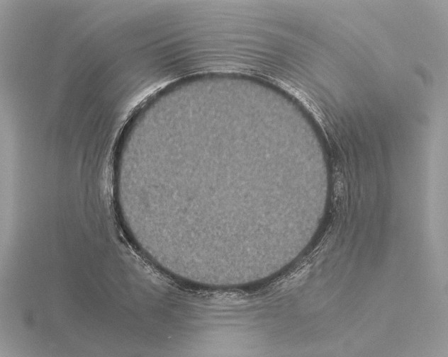 X0000115040979200912071106