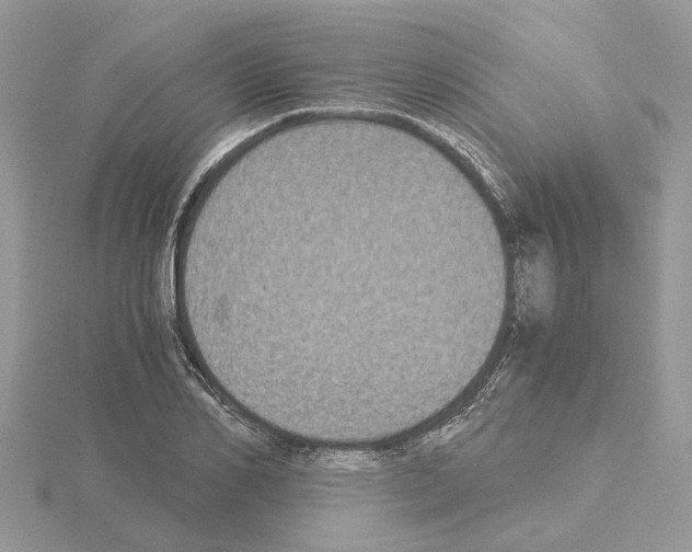 X0000115040982200912071106