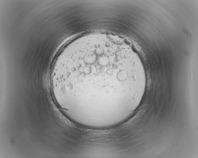 X0000115040984200912071106