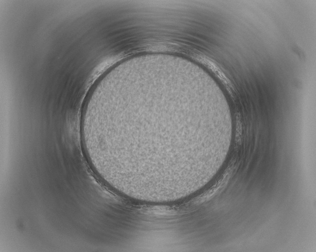 X0000115040986200912071106