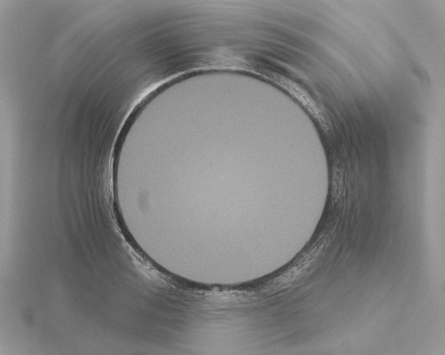 X0000115040988200912071106