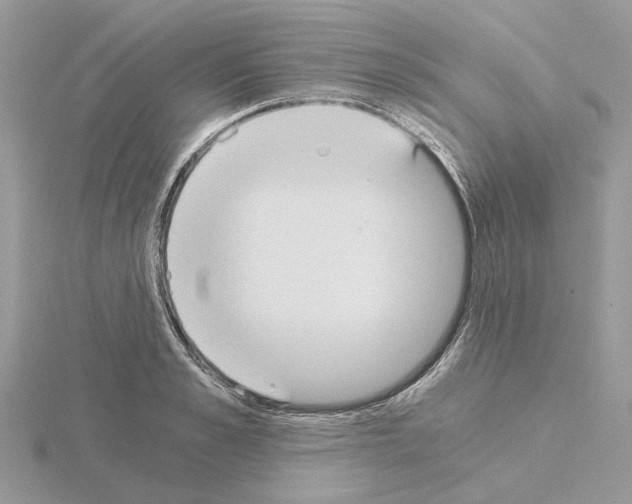 X0000115040989200912071106