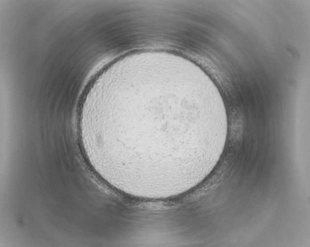 X0000115040990200912071106