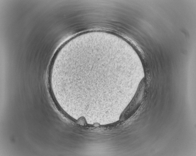 X0000115040991200912071106