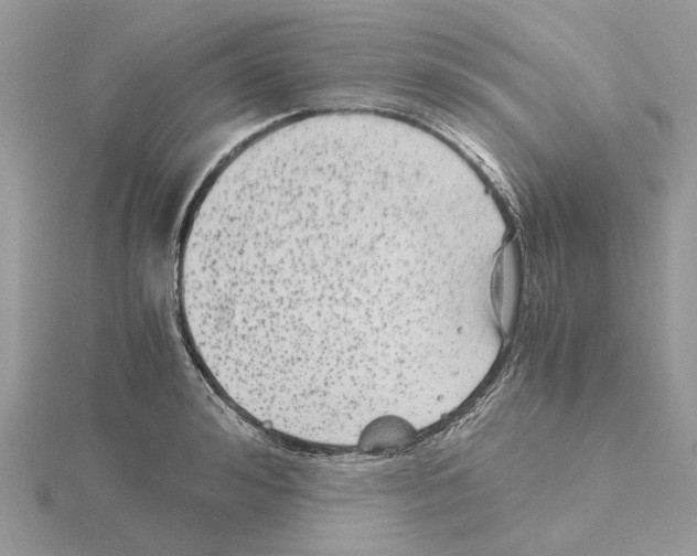 X0000115040992200912071106