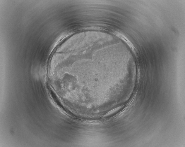 X0000115040994200912071106