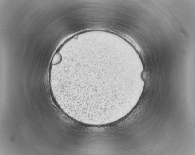 X0000115040996200912071106