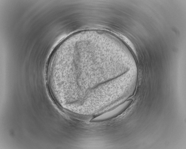 X0000115040997200912071106