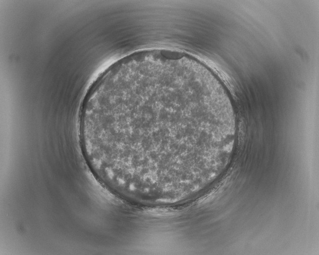 X0000115040998200912071106