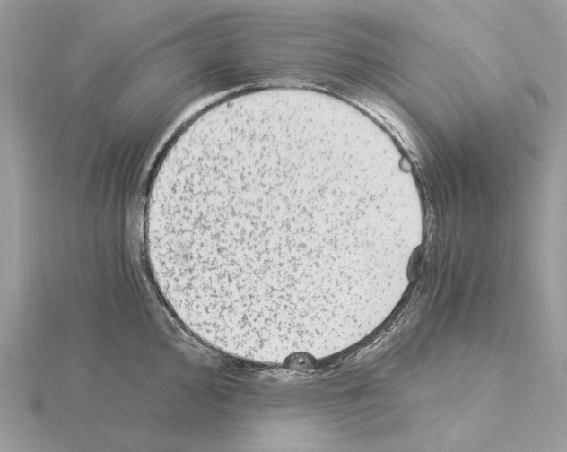 X0000115041000200912071105