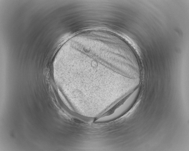 X0000115041001200912071105