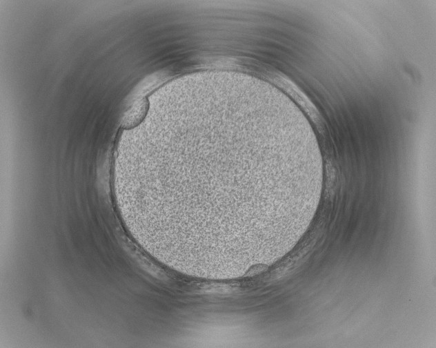 X0000115041002200912071105