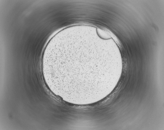 X0000115041004200912071105