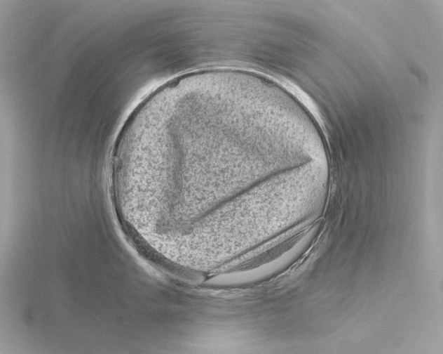 X0000115041005200912071105