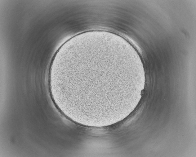 X0000115041007200912071105