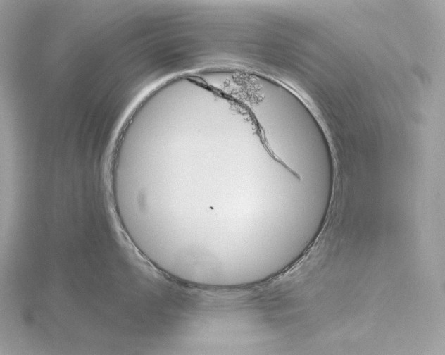 X0000115041008200912071105